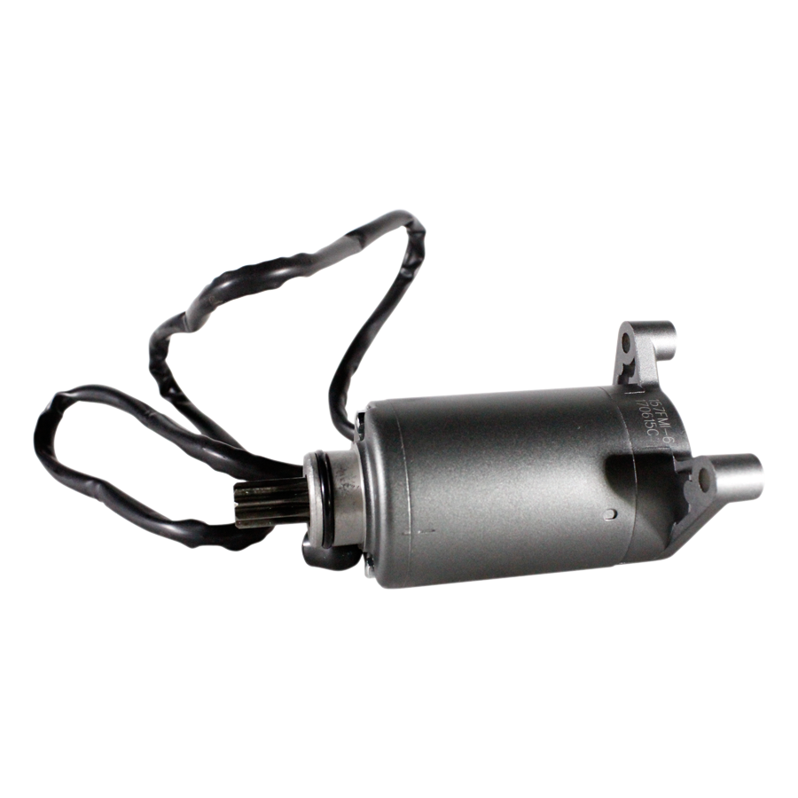 MOTOR ASSY, STARTER (RKS 150)