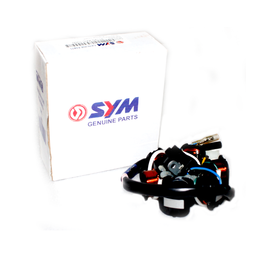 STATOR ASSY (JET-POWER 125)