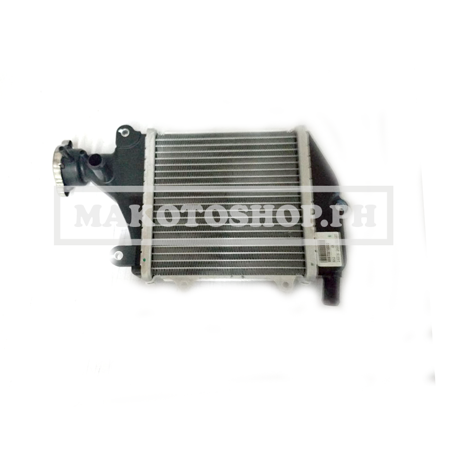 RADIATOR ASSY CRUISYM 150i
