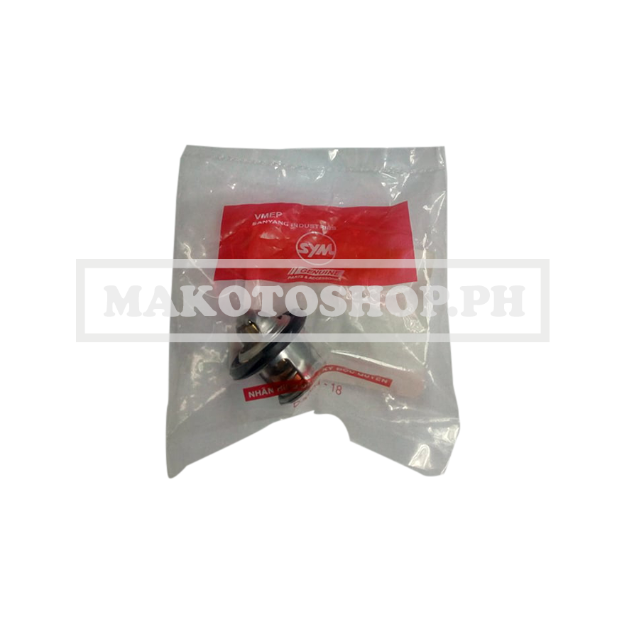 THERMOSTAT ASSY VF3i