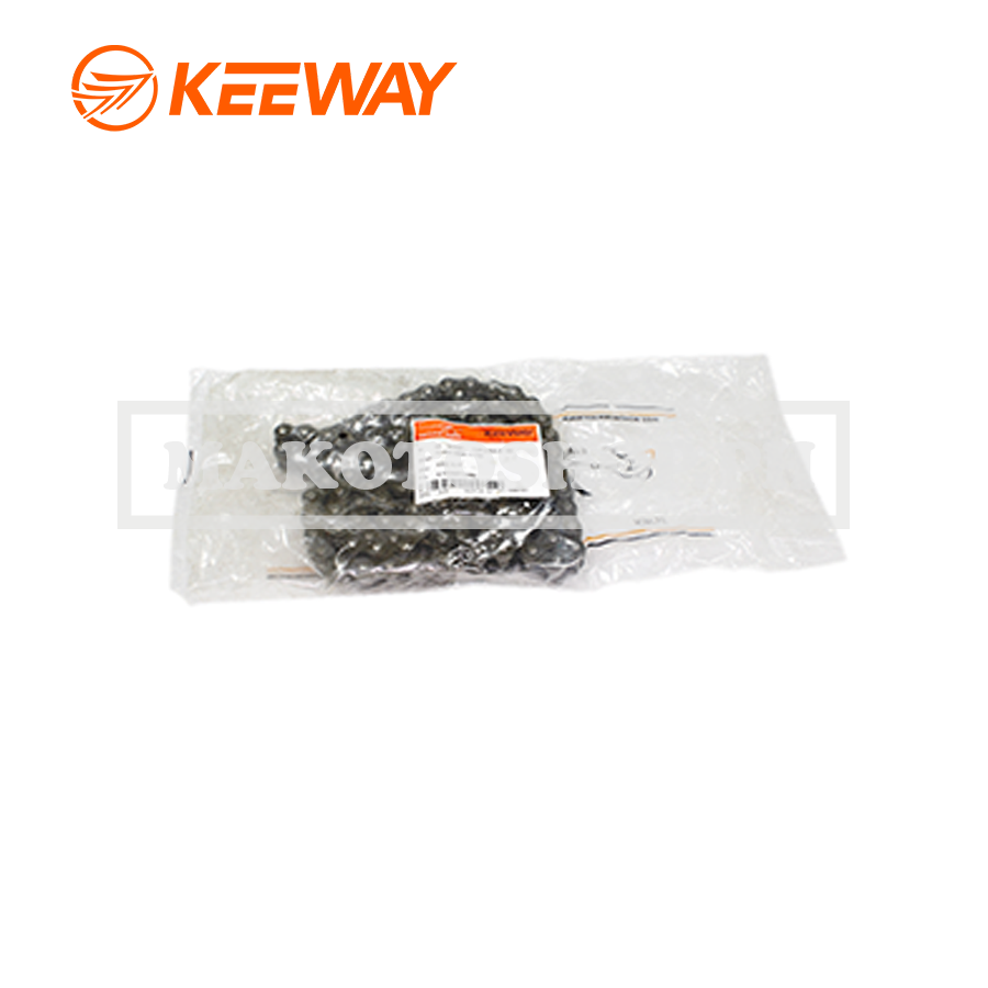 CHAIN, DRIVE (428X110L) (CAFE RACER 152)