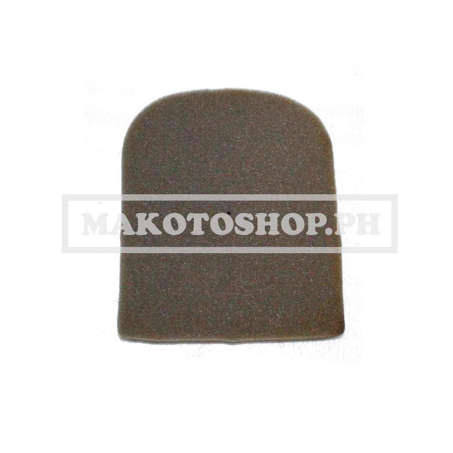 ELEMENT, AIR CLEANER (PASADA 100)