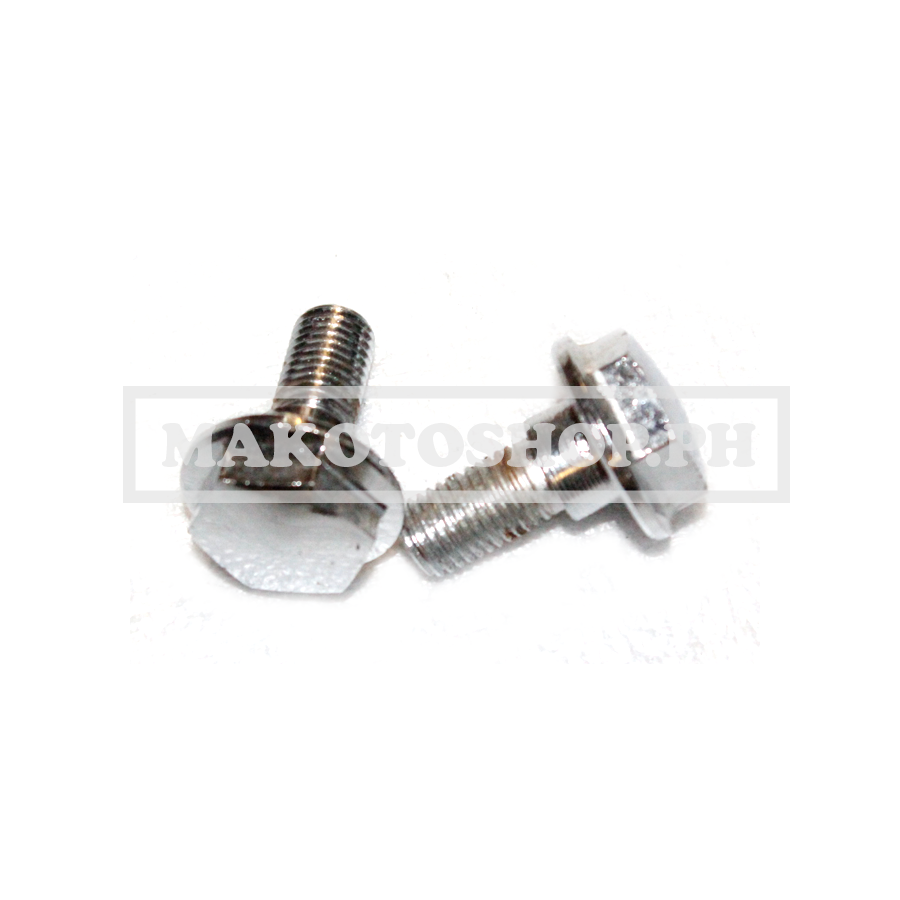 BOLT, FLANGE 10X25 (PASADA 100)
