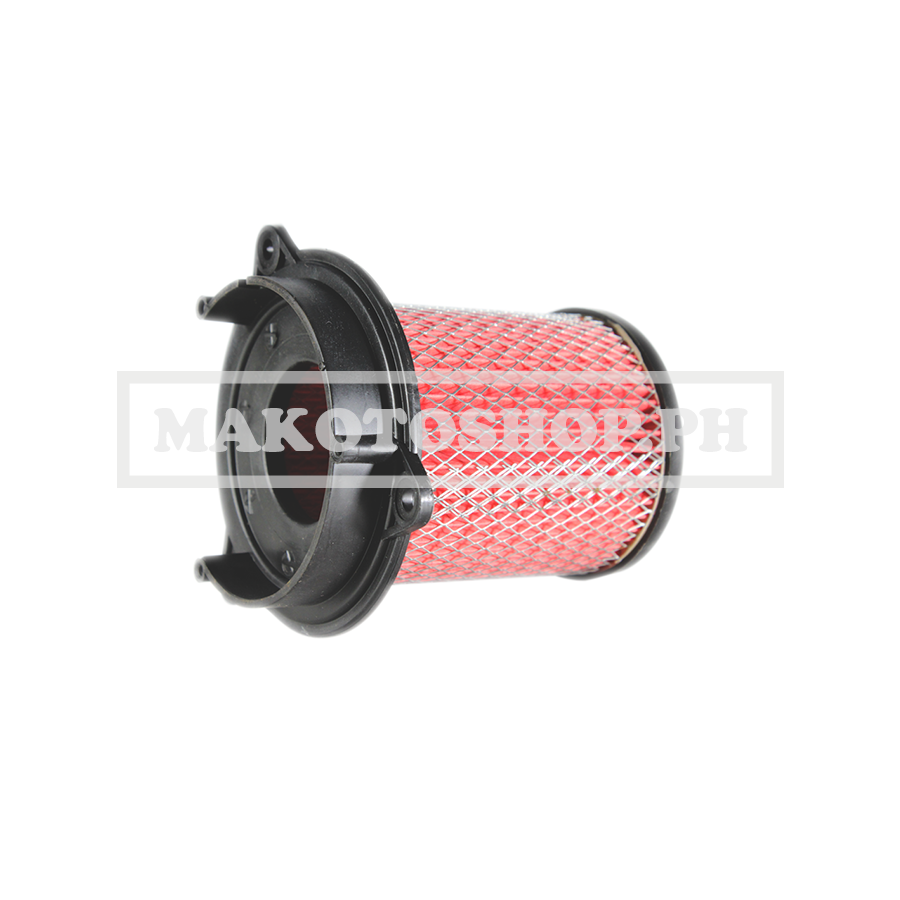 ELEMENT, AIR CLEANER (RKS 150)