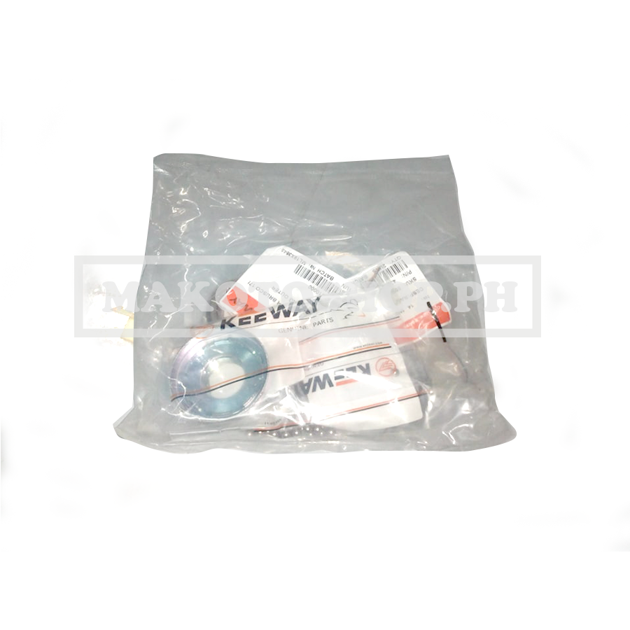 SPEEDOMETER ASSY (PASADA 100)