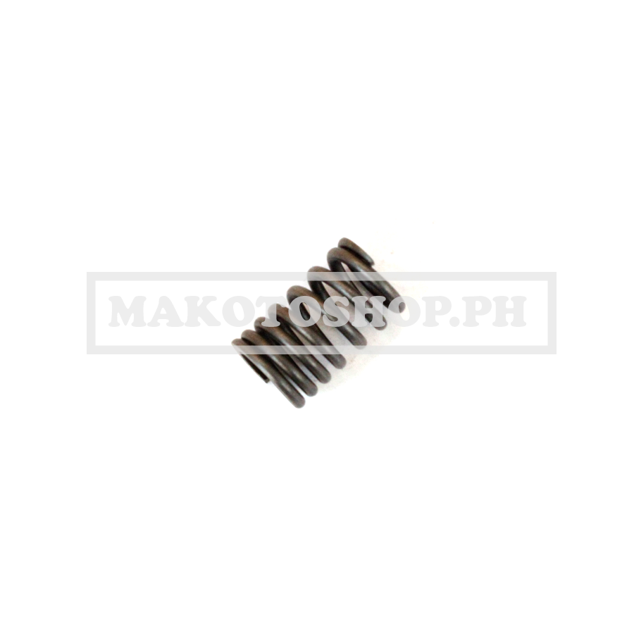 SPRING, VALVE OUTER (RKS 150)