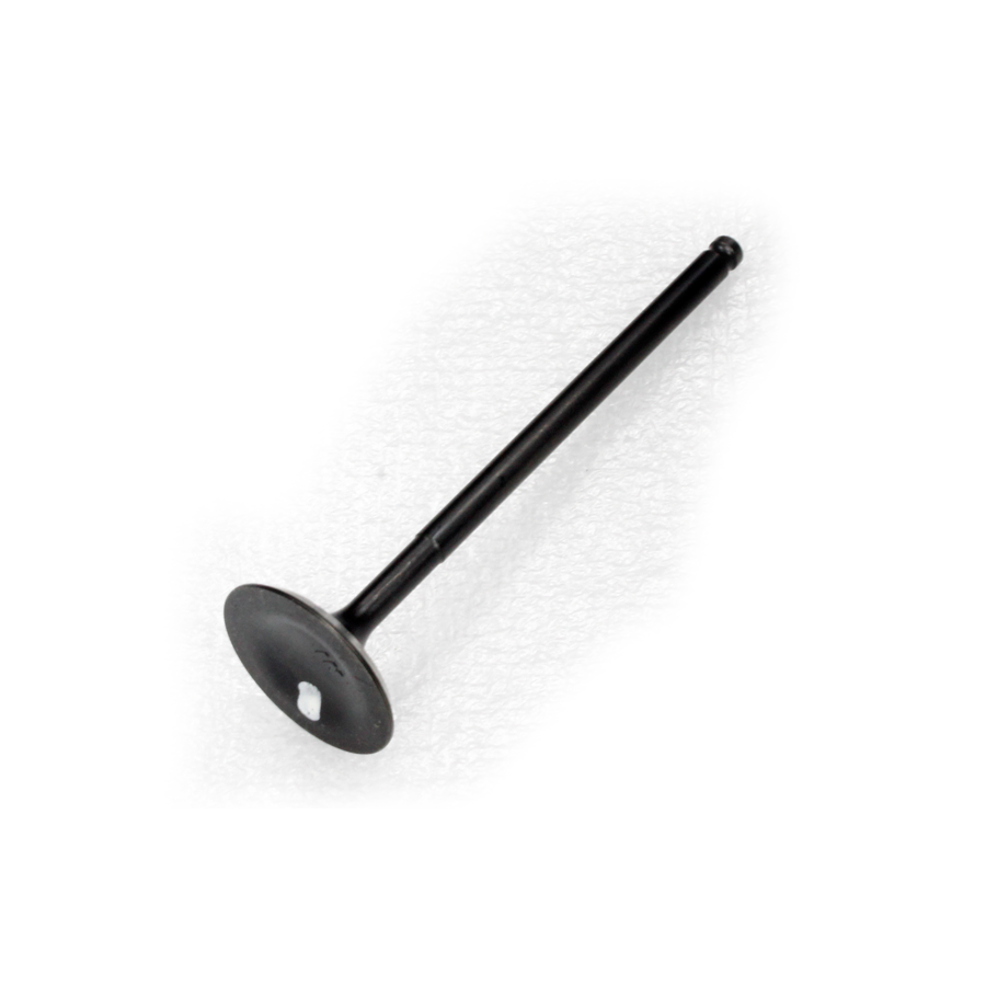 VALVE, INTAKE (RKS 150)