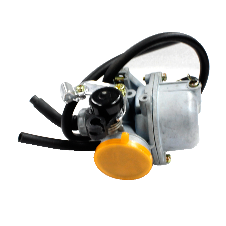 CARBURETOR ASSY (CAPITOL 100)