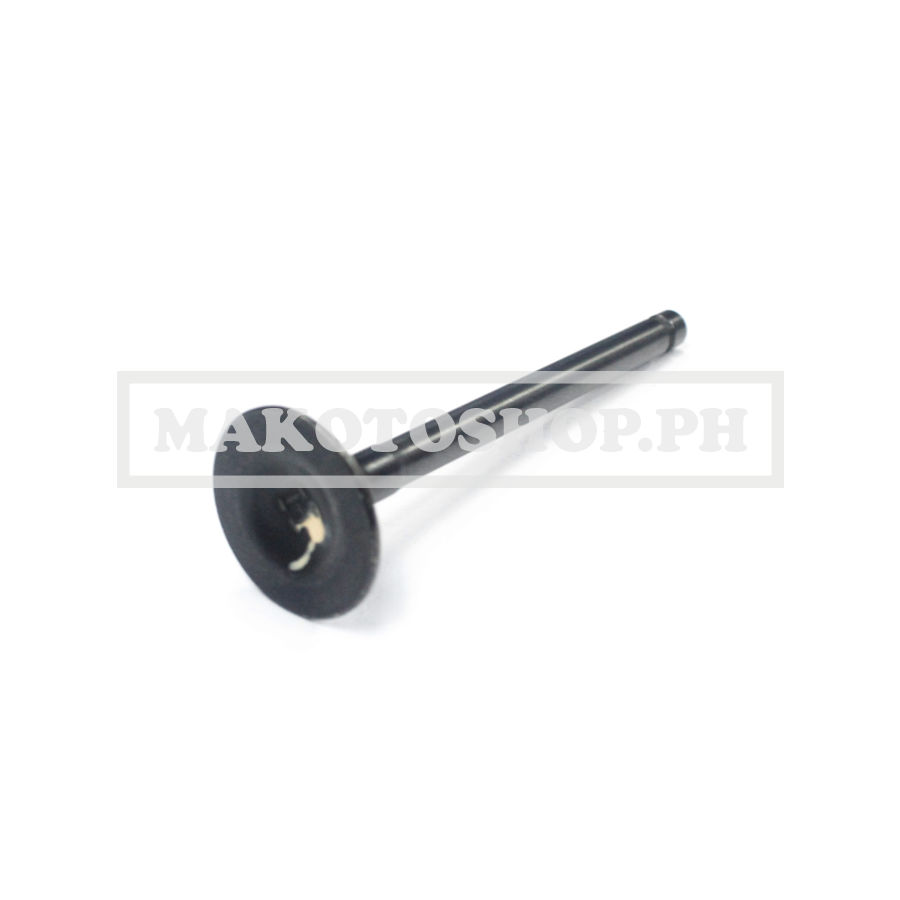 VALVE, EXHAUST (CAPITOL 100)