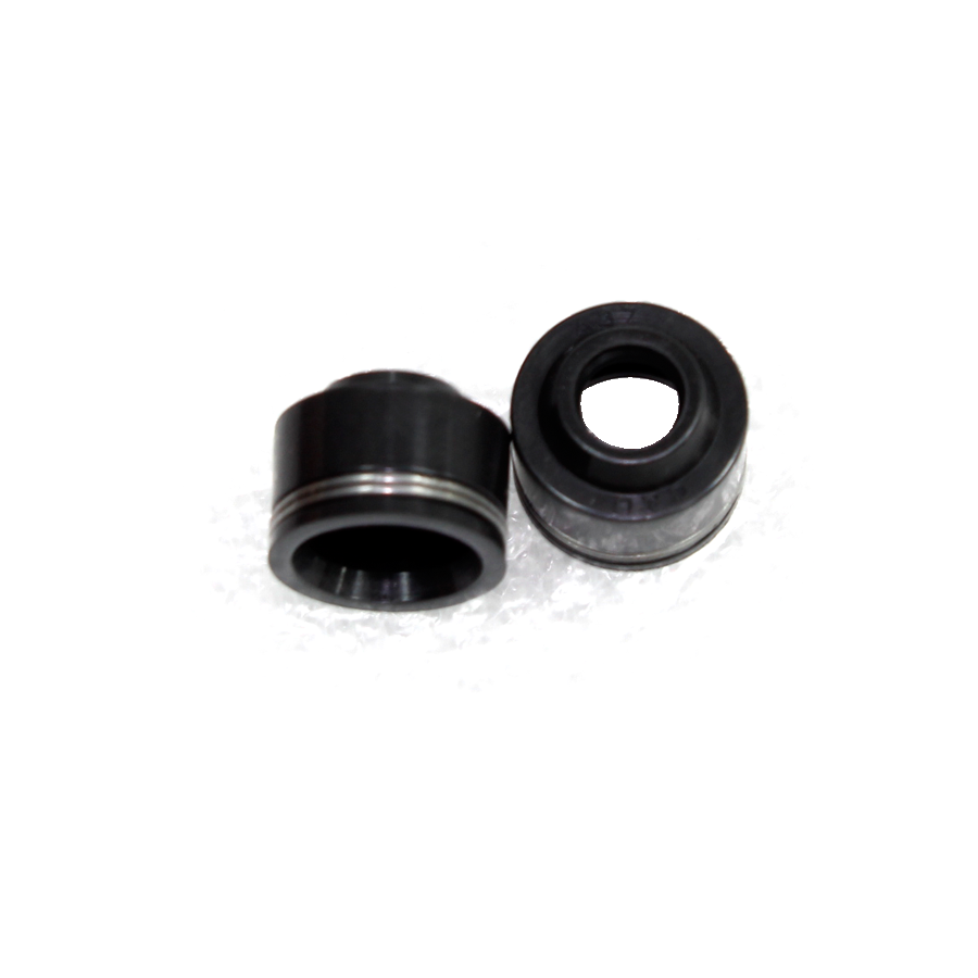 SEAL, VALVE (RKS 150, RCS 125, SIP125) PER PIECE