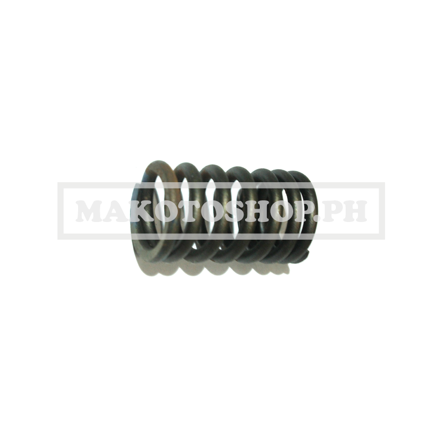 SPRING, VALVE OUTER (FLASH 150)