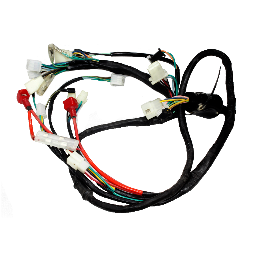 HARNESS, WIRE (HOLIDAY 125)