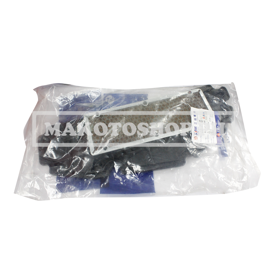 ELEMENT, AIR CLEANER (GTS 250)