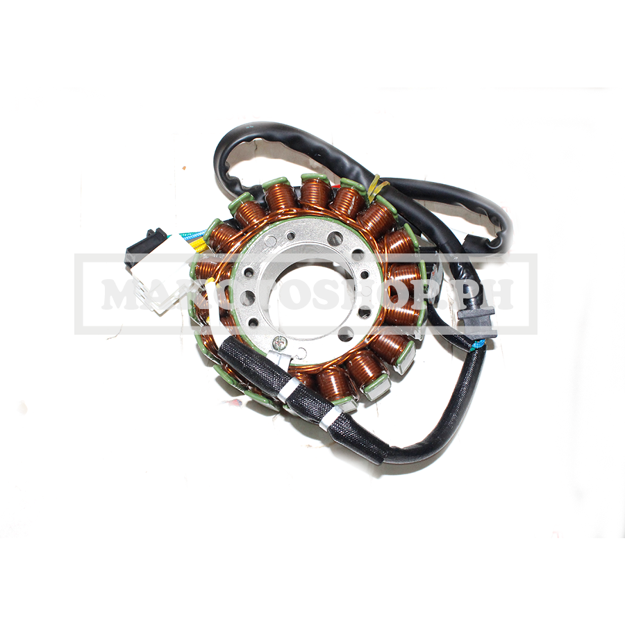 STATOR ASSY(GTS250) (GTS 250)
