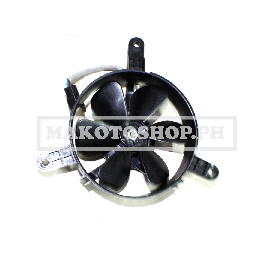 SHROUD ASSY/RADIATOR FAN(GTSEVO, GTS250) (GTS 250)