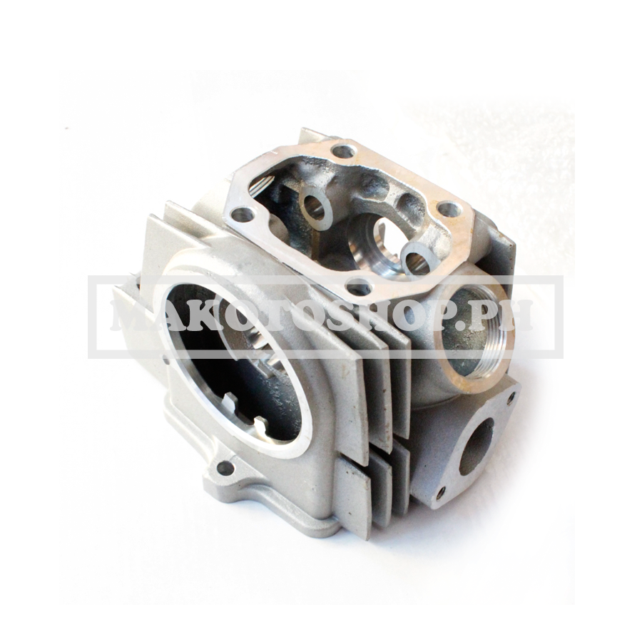 CYLINDER BLOCK (LF110-SC, EURO 110 (SC))