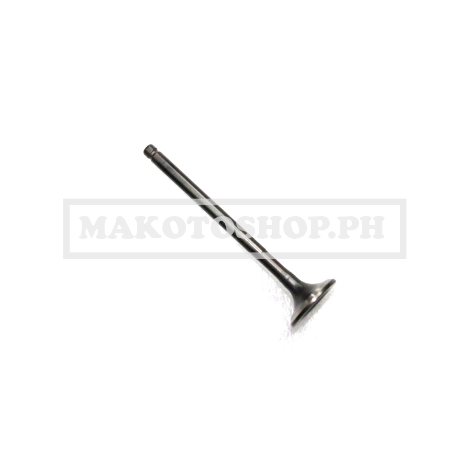 VALVE, EXHAUST (VZ, KBLADE)