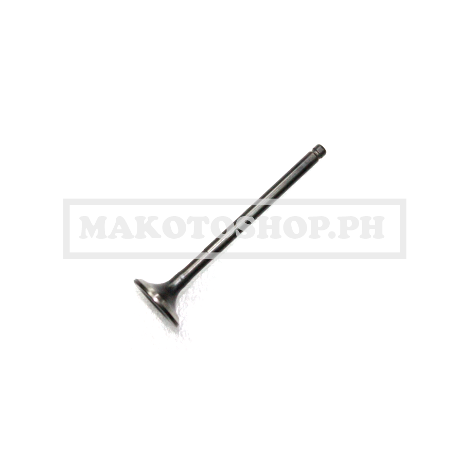 VALVE, INTAKE (VZ, KBLADE)